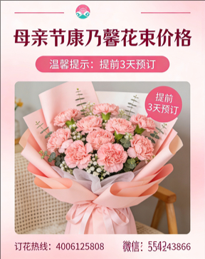 十堰竹溪县花店母亲节康乃馨花束