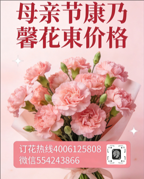 十堰竹溪县花店母亲节康乃馨花束
